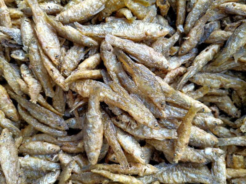 小鱼干干货麦穗鱼嫩子鱼忍子鱼干度好颜色靓大量供应