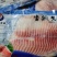 生鲷鱼片鱼排原味日式刺身煎烤料理生鱼片铁板烧寿司