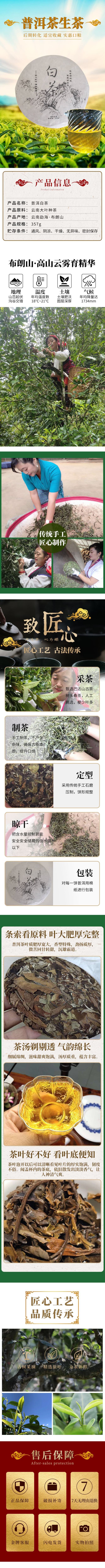 茶农自产2019年云南勐海大叶种头春大树乔木日晒普洱白茶
