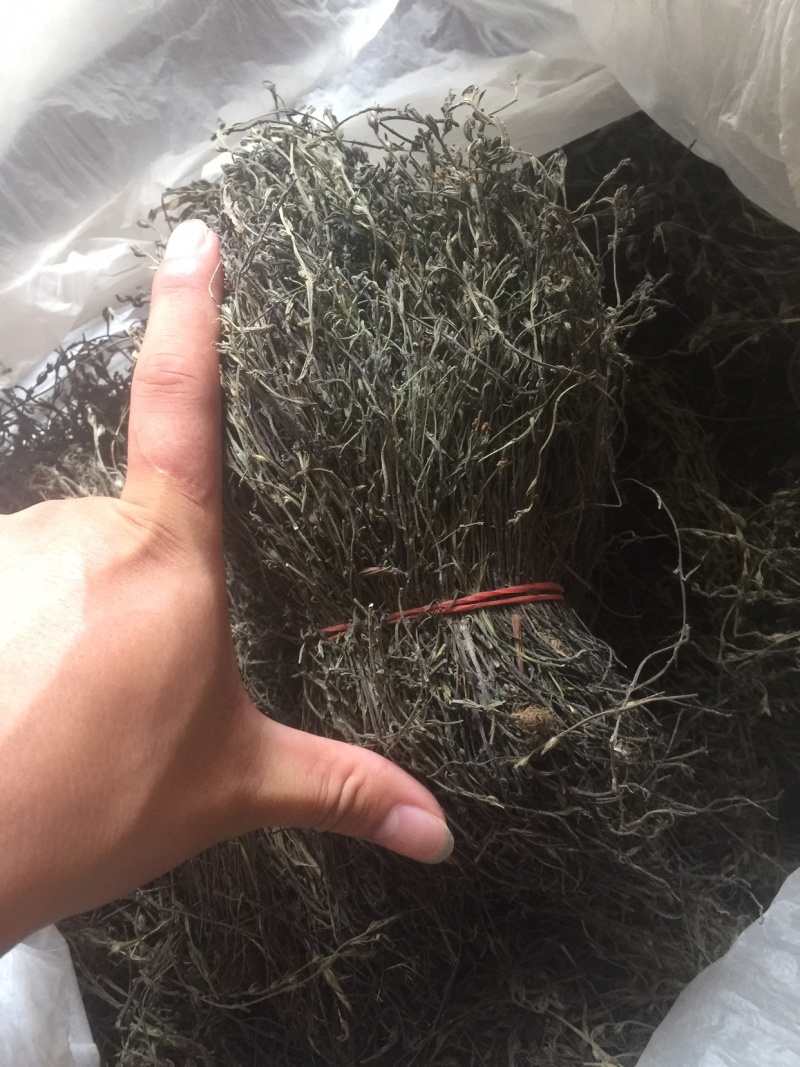南宁现货独脚金！大量货源批发