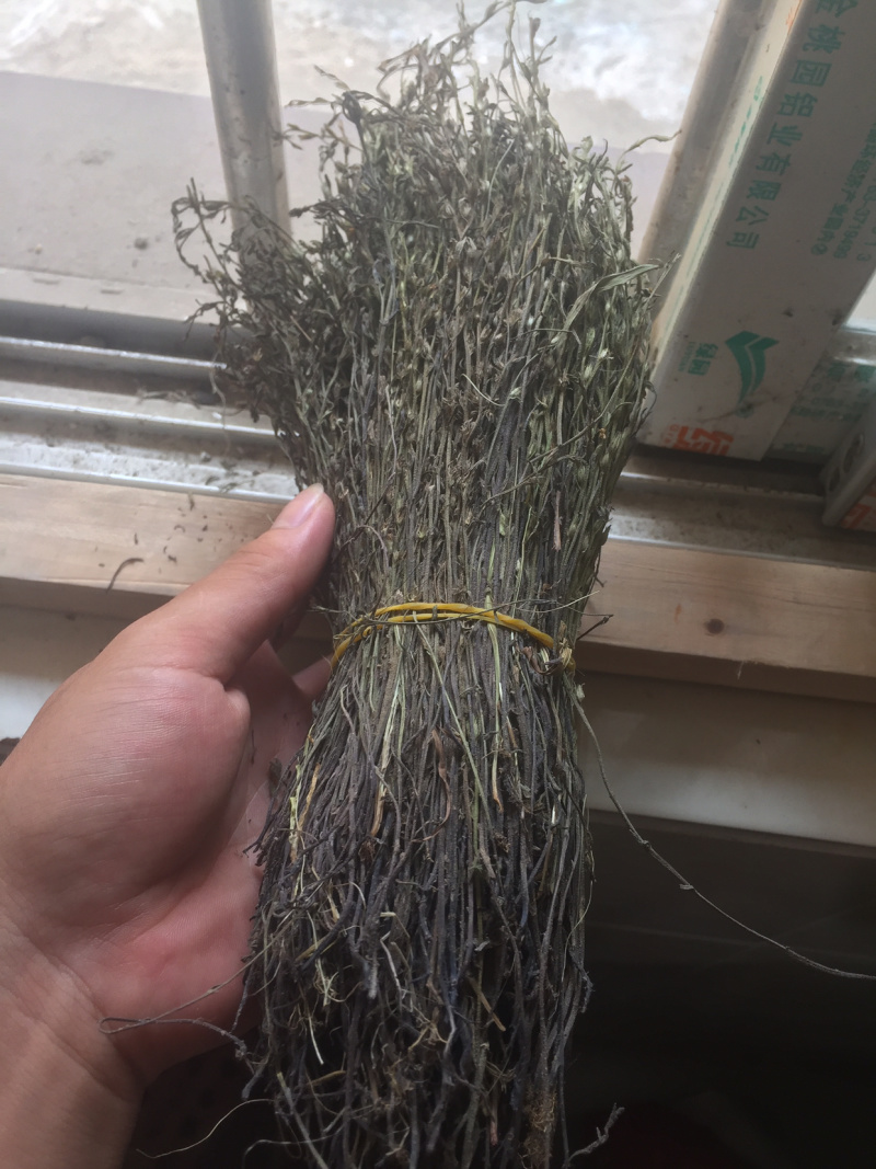 南宁现货独脚金！大量货源批发