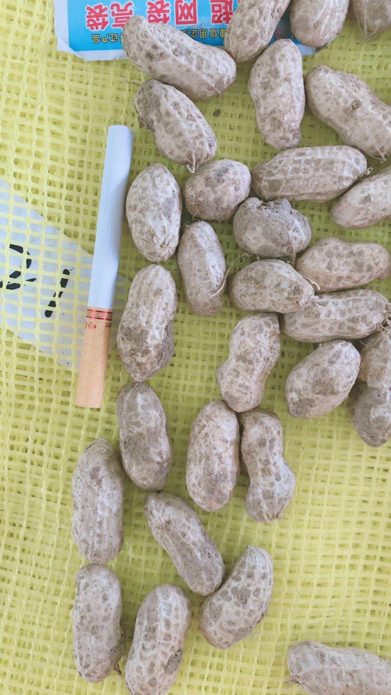 江苏大白沙大量有货