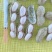 江苏大白沙大量有货需要的联系我