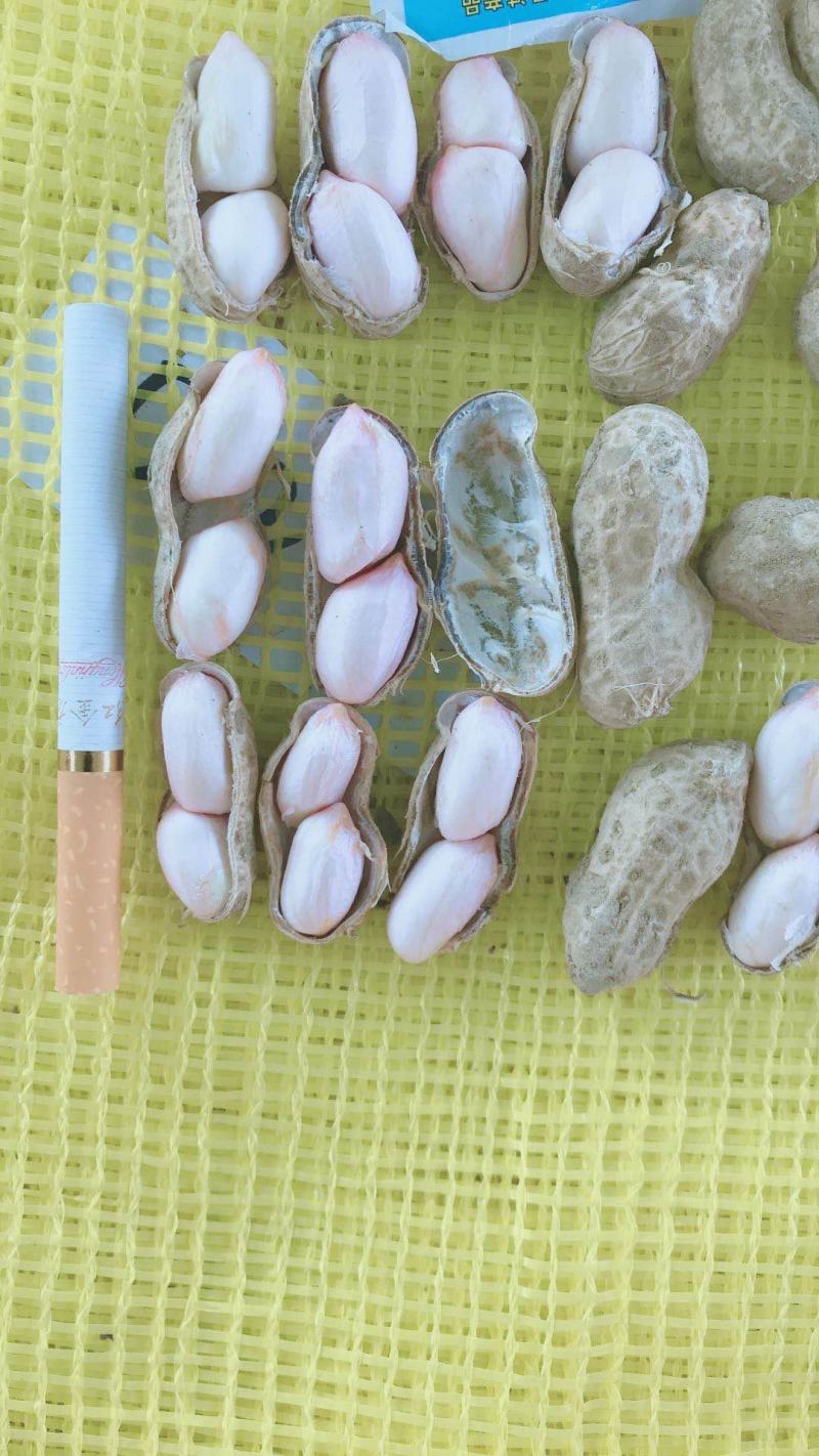 江苏大白沙大量有货需要的联系我