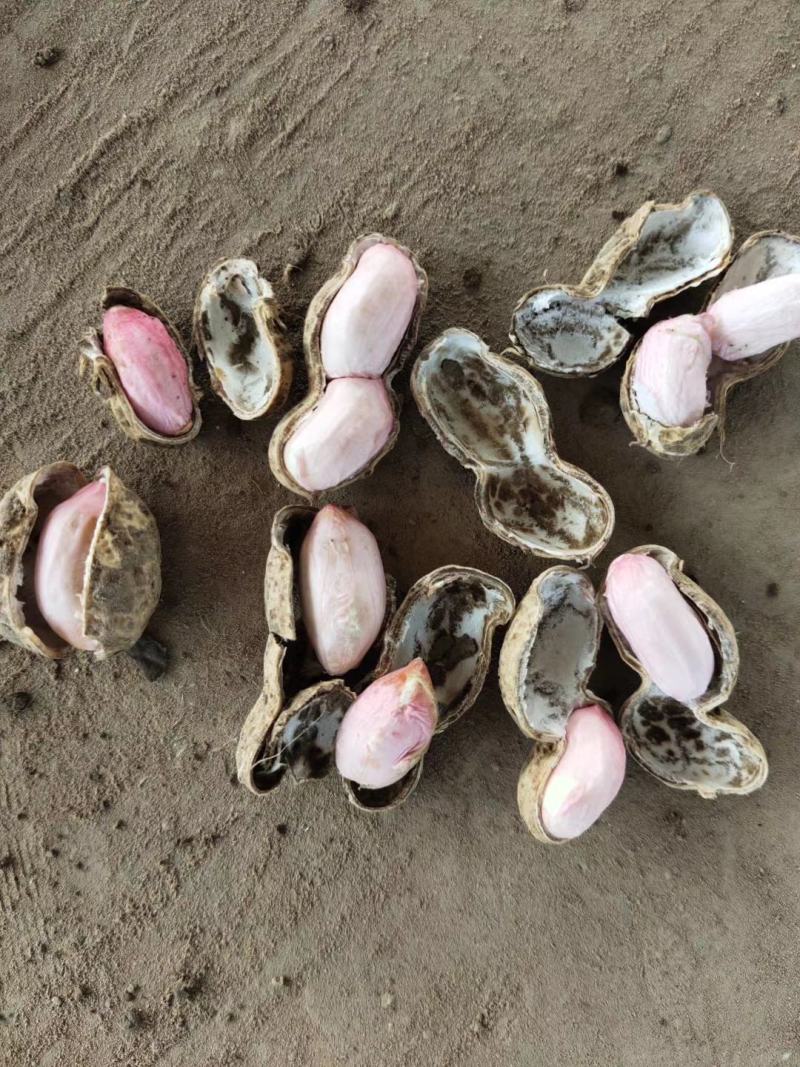 江苏大白沙大量有货需要的联系我