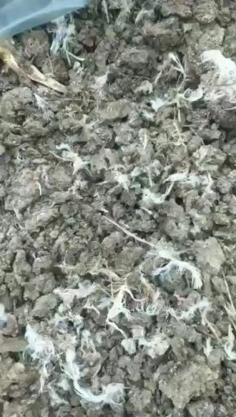 山东省德州市夏津县有机肥干鸡粪厂家直销保证质量