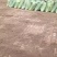 山东省德州市夏津县有机肥干鸡粪厂家直销保证质量