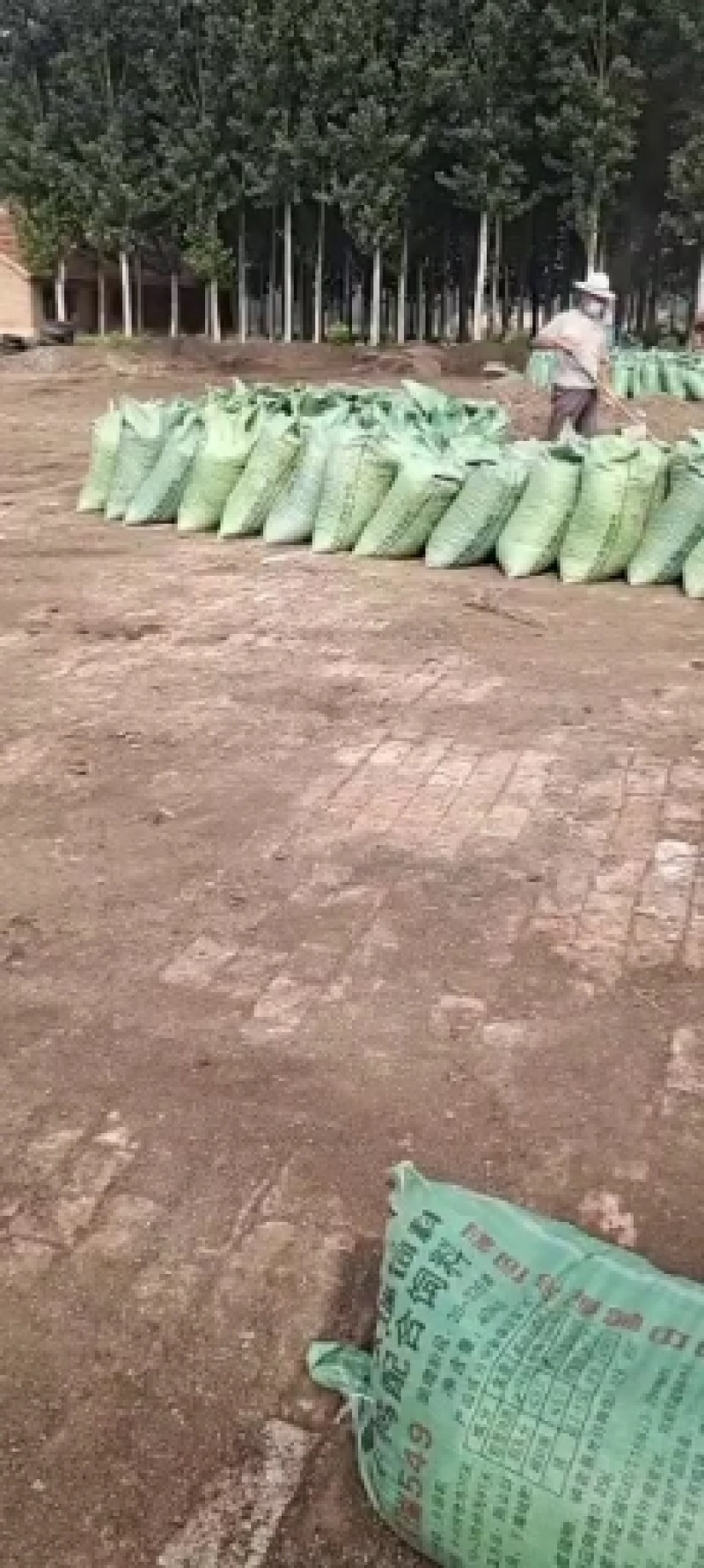 山东省德州市夏津县有机肥干鸡粪厂家直销保证质量