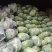 圆包菜，扁包菜，货源充足，诚信经营，质优价廉，欢迎订购。