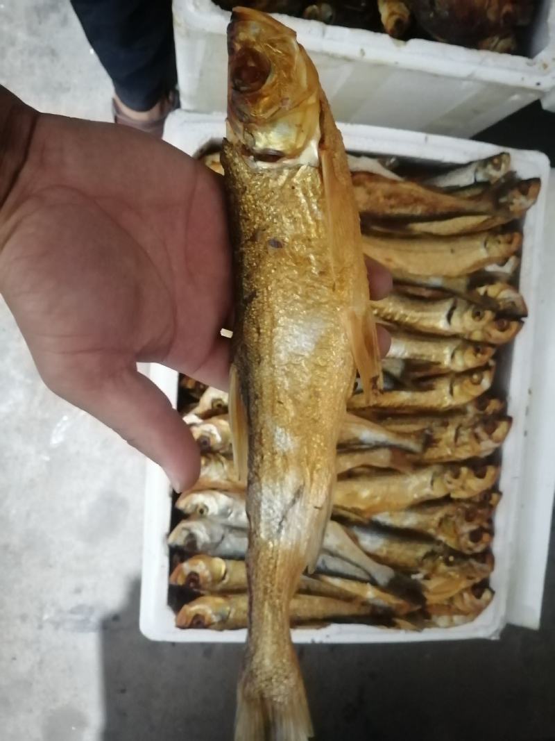 鱼干河鱼翘嘴鱼溪鱼干