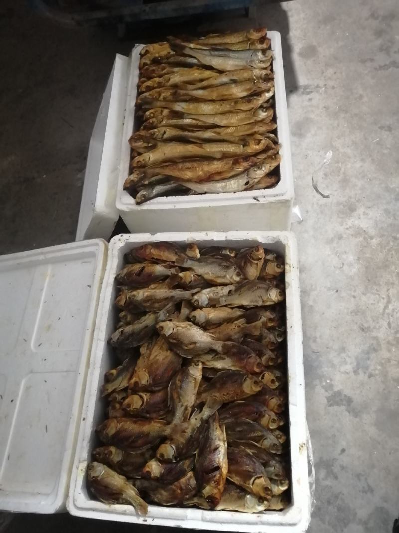 鱼干河鱼翘嘴鱼溪鱼干