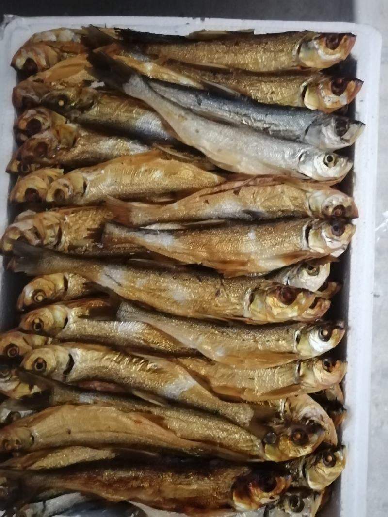 鱼干河鱼翘嘴鱼溪鱼干