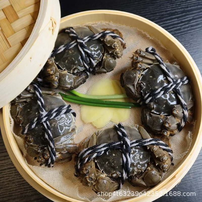 江苏大闸蟹全母零售批发招代理商保质保量肉质肥美