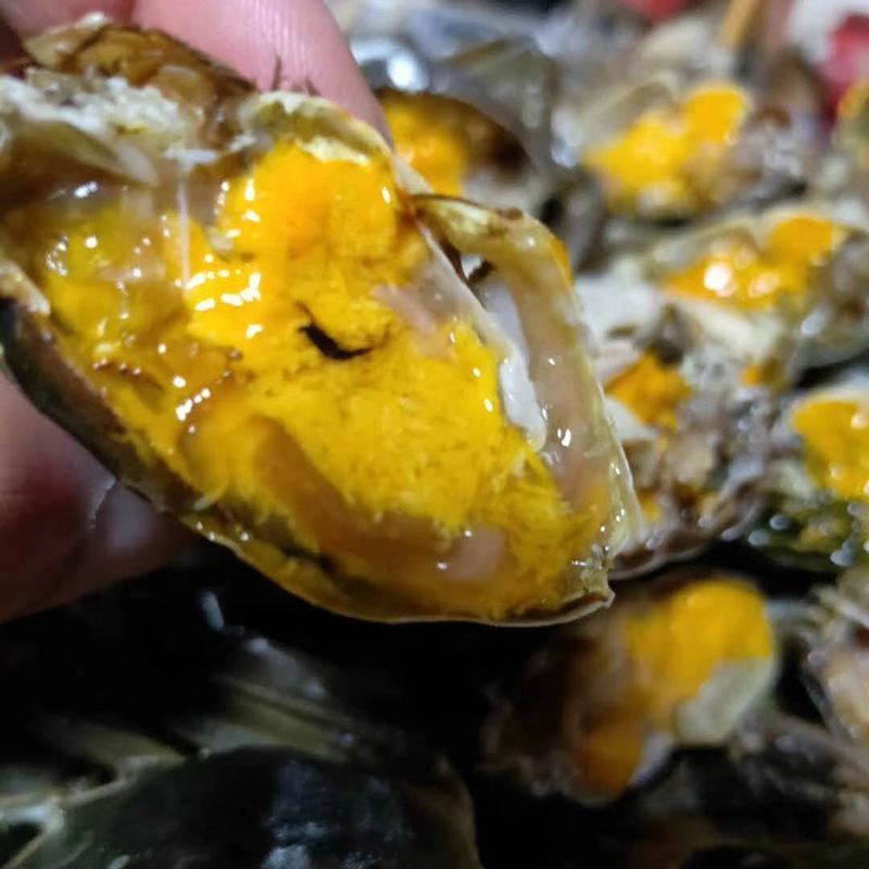 江苏大闸蟹全母零售批发招代理商保质保量肉质肥美