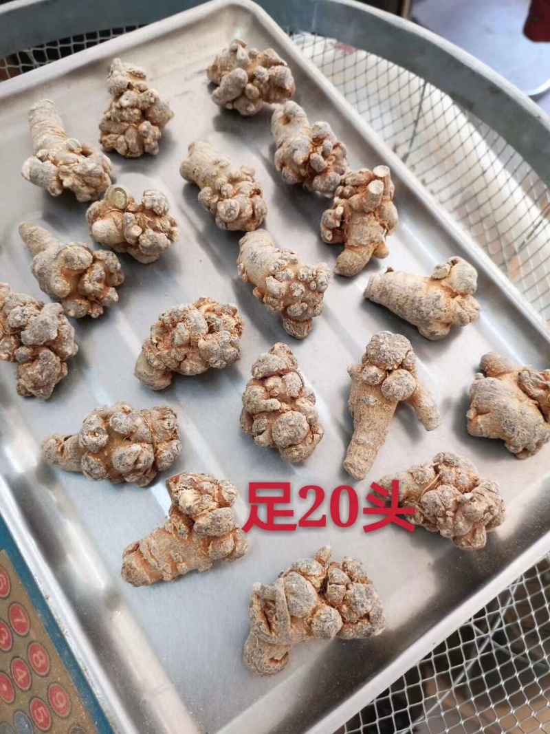 云南文山三七基地直发