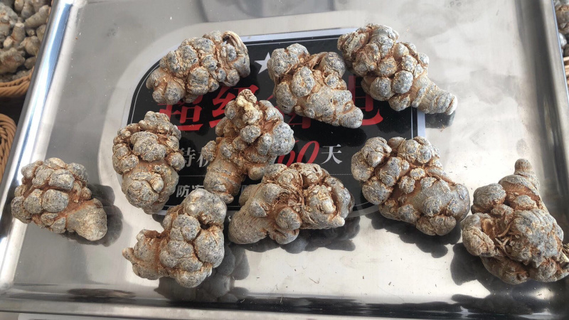 云南文山三七基地直发