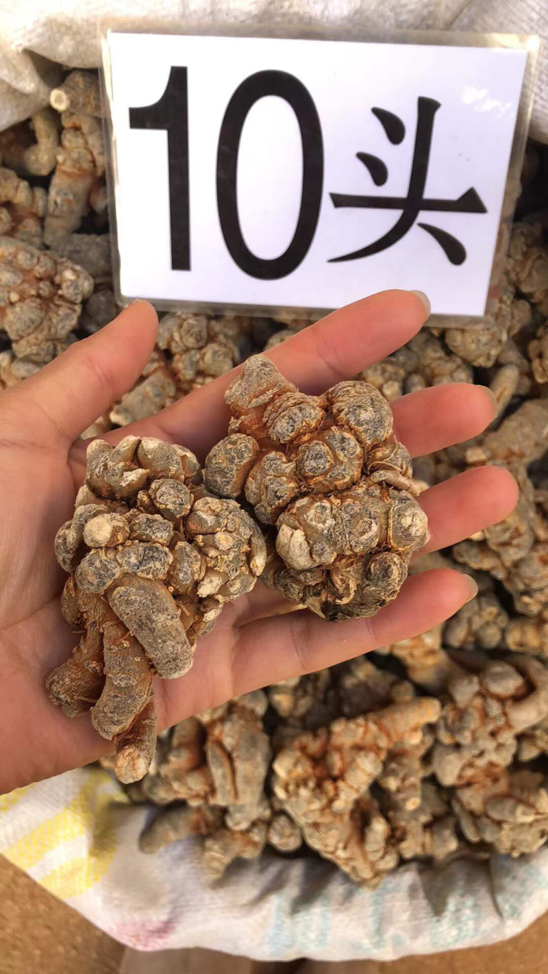 云南文山三七基地直发