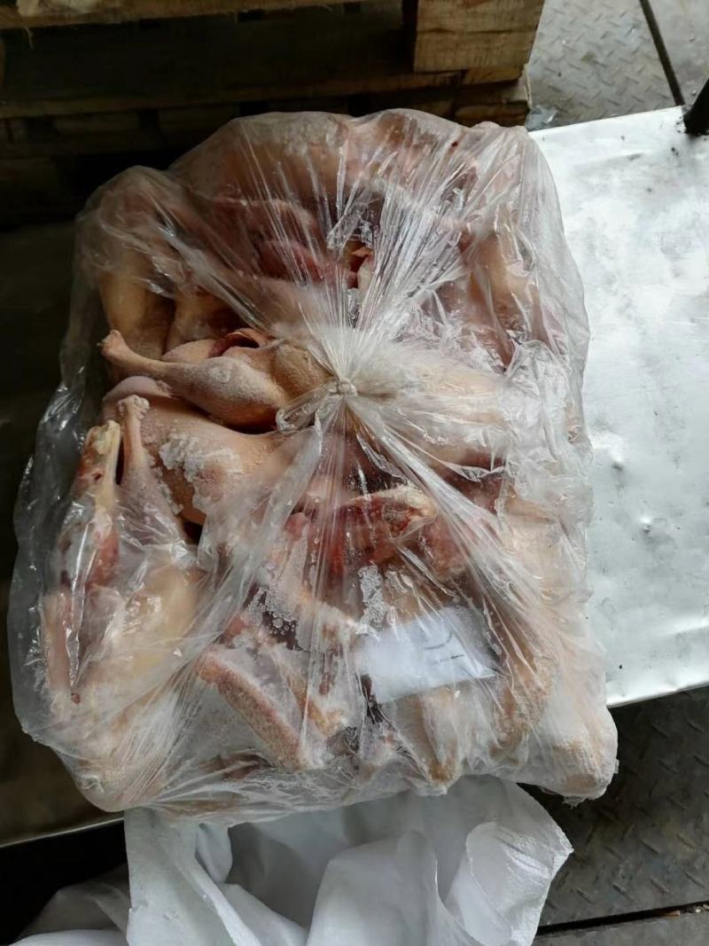 土鸭，土鸭，土鸭，价格便宜卖了，每只重量在2.5以上