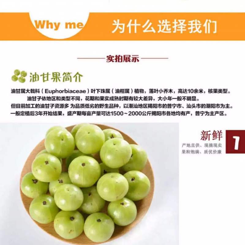 余甘果苗，耐寒品种南北方适合种植，产量高，易结果