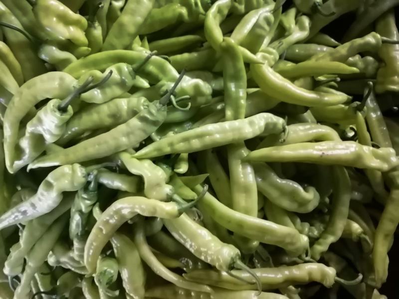 青茄子，园椒，线椒，黄皮椒，豆角