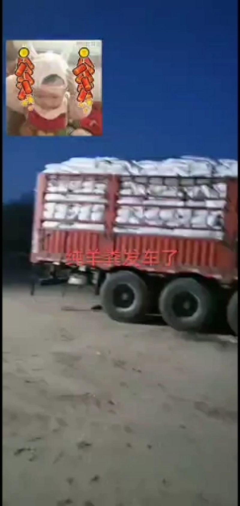 羊粪纯羊粪厂家直销招商开始欢迎实地考察参观