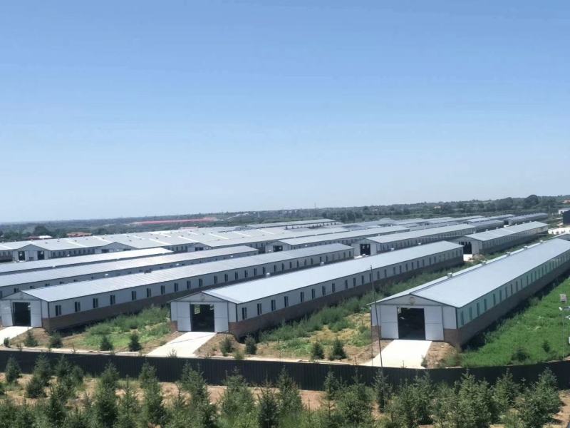 羊粪纯羊粪厂家直销招商开始欢迎实地考察参观