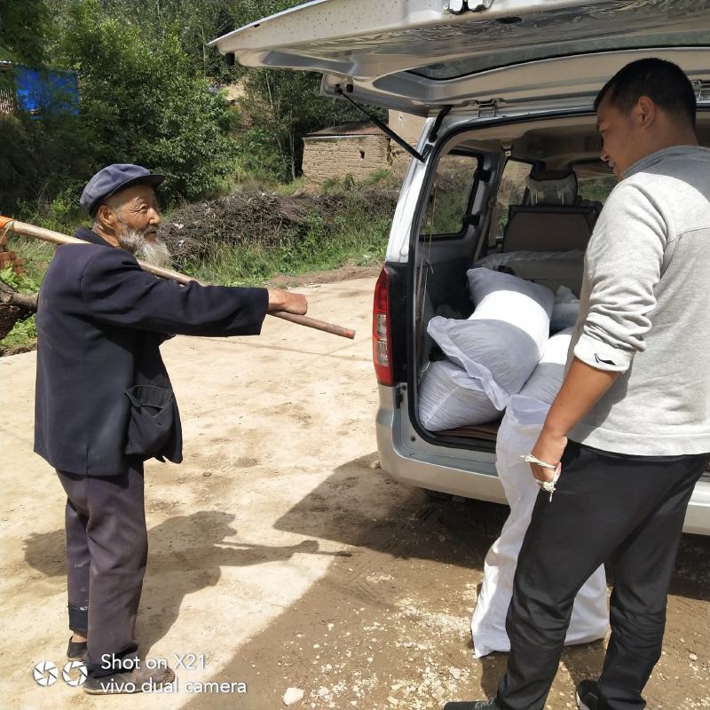 羊粪纯羊粪厂家直销招商开始欢迎实地考察参观