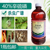 立本40%辛硫磷灌根地下害虫蚜虫螨虫土蚕地蛆食心虫菜青虫