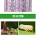 立本40%辛硫磷灌根地下害虫蚜虫螨虫土蚕地蛆食心虫菜青虫