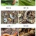 立本40%辛硫磷灌根地下害虫蚜虫螨虫土蚕地蛆食心虫菜青虫