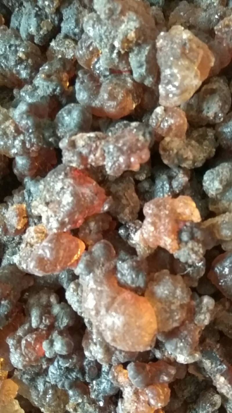 飞怡生态园的桃胶欢迎前来采购，各种规格任你挑。