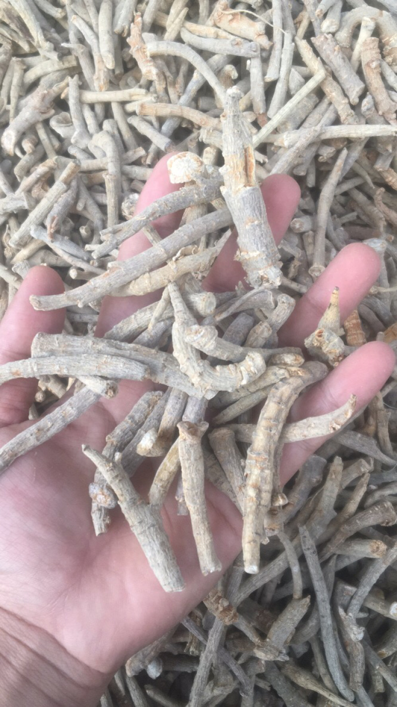 云南文山三七田七根条茎条煲汤蒸煮佳品价格实惠