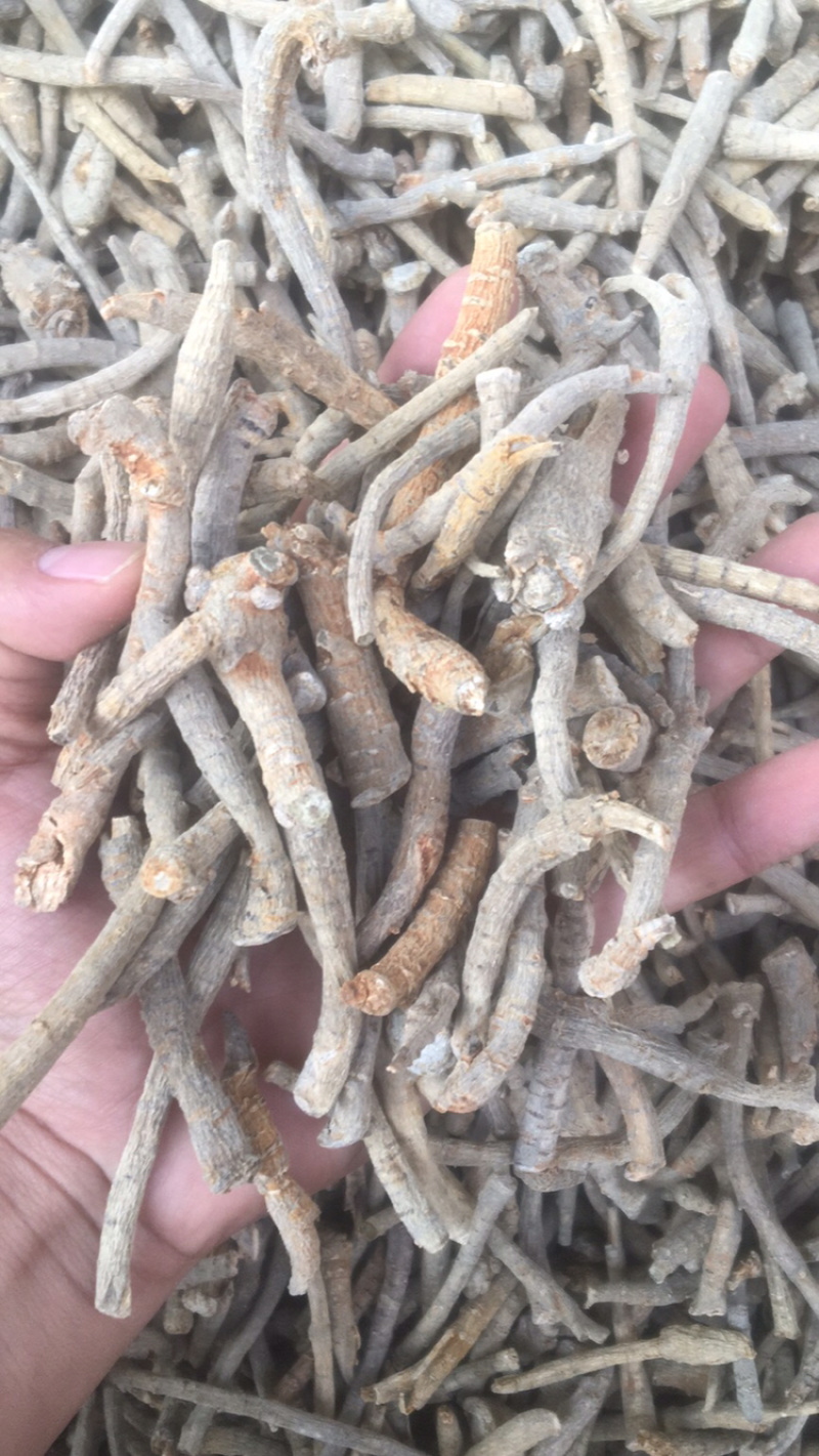 云南文山三七田七根条茎条煲汤蒸煮佳品价格实惠