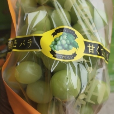阳光玫瑰葡萄产地供应，需要的联系我