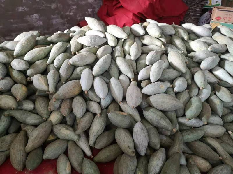 新疆贵族南瓜品相端正长条型粉糯香甜单个二斤起步