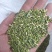 山东槐米单季槐米好统货含量高山东临沂产地直销新货