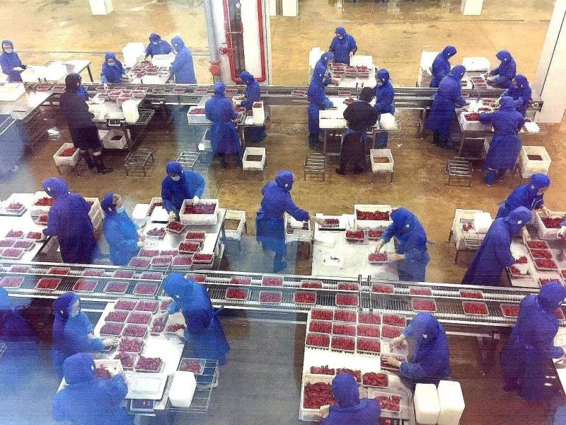 麻辣口味虾调味虾500g小龙虾尾2020年6月新货