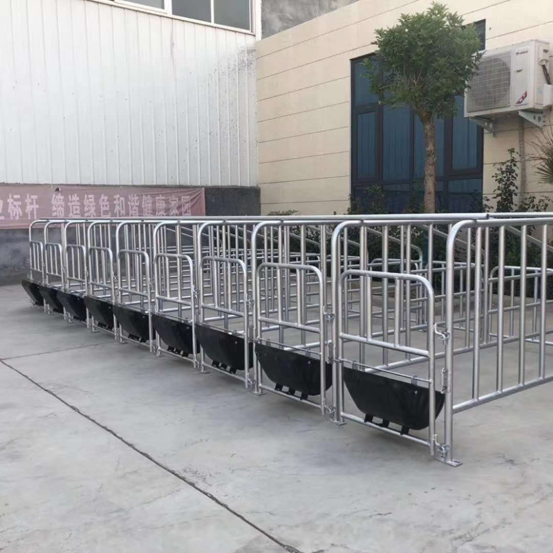 双体母猪产床保育床一体产保两用床产房养猪用产床产保单体分