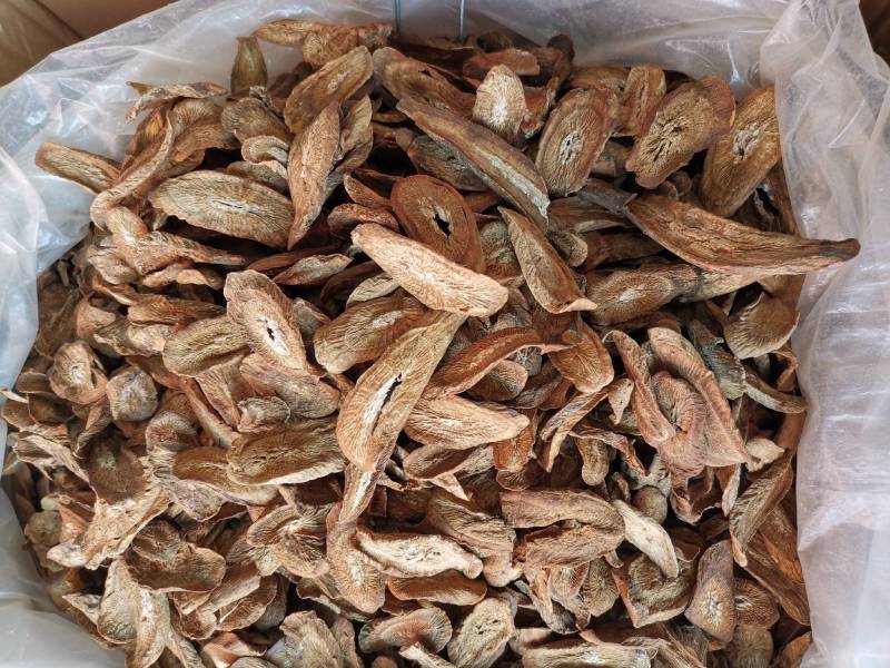 牛蒡根牛蒡茶各种规格圆片斜片干净无杂批发价更优