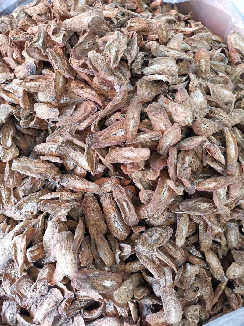 牛蒡根牛蒡茶各种规格圆片斜片干净无杂批发价更优