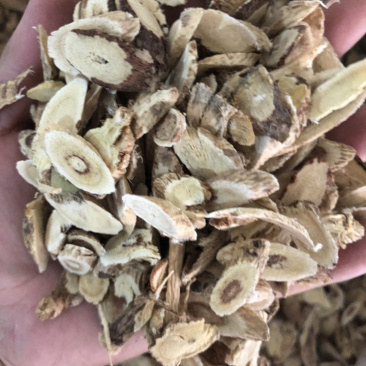 昌玉药材基地直销黄芪空心蒙芪产地直销薄利多销