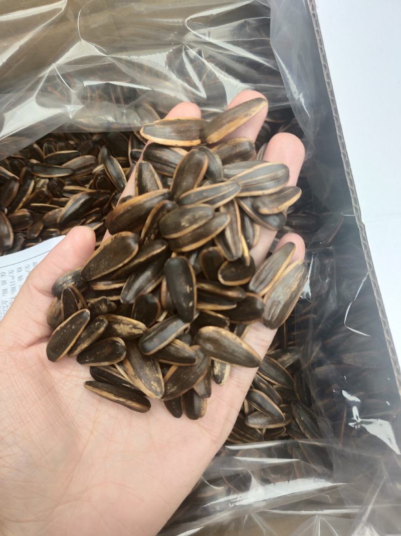 跑江湖地摊货源，多味香瓜子，火爆热卖现货供应