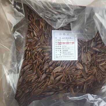 跑江湖地摊货源，多味香瓜子，火爆热卖现货供应