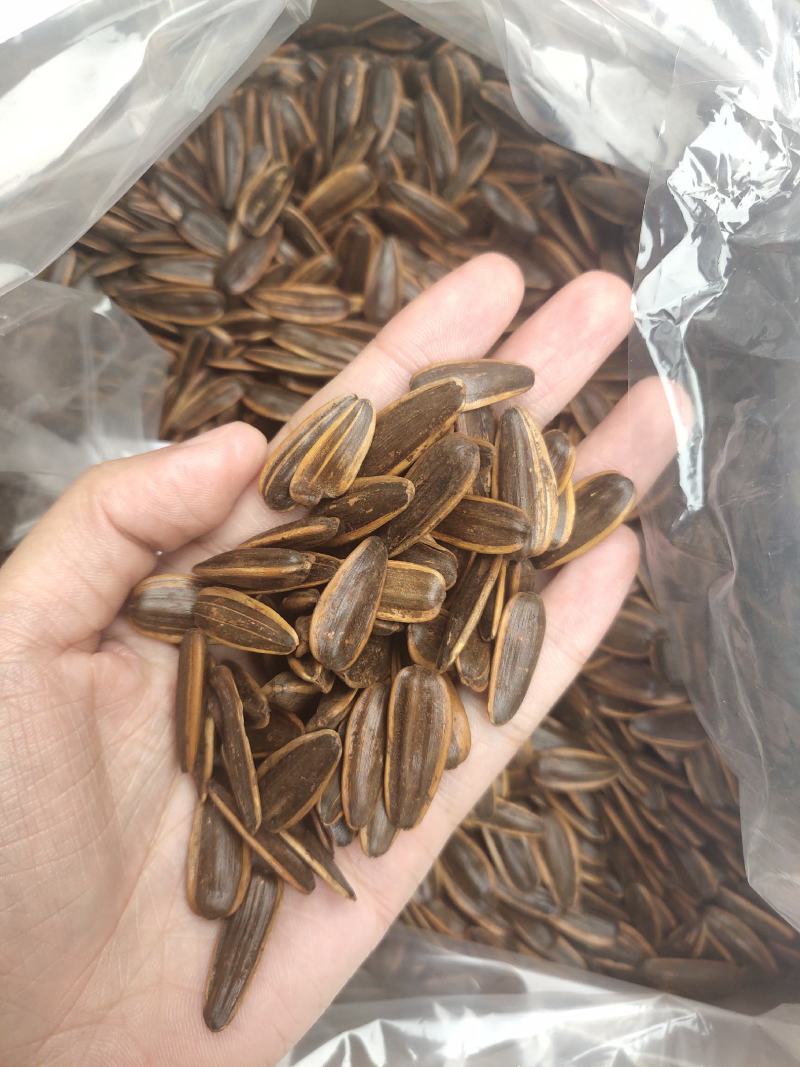 跑江湖地摊货源，多味香瓜子，火爆热卖现货供应