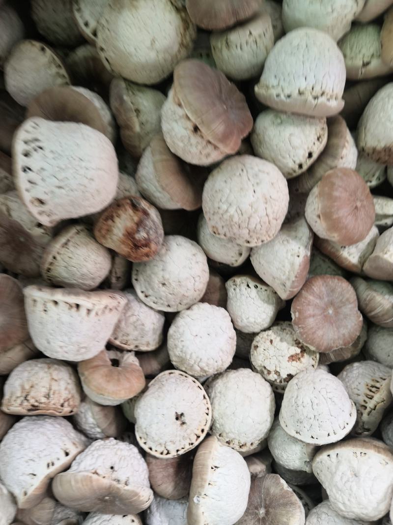 壮阳果新货风流果量大从优大货批发