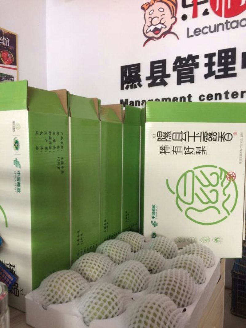 梨果之乡隰县玉露香梨