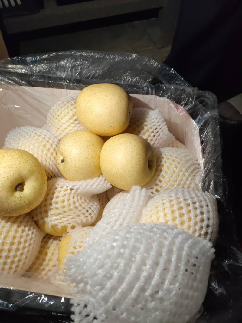 酥梨产地好货可视频看货砀山梨欢迎电话联系
