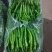云南精品蔬菜拼车发货服务水果玉米四季豆叶子菜