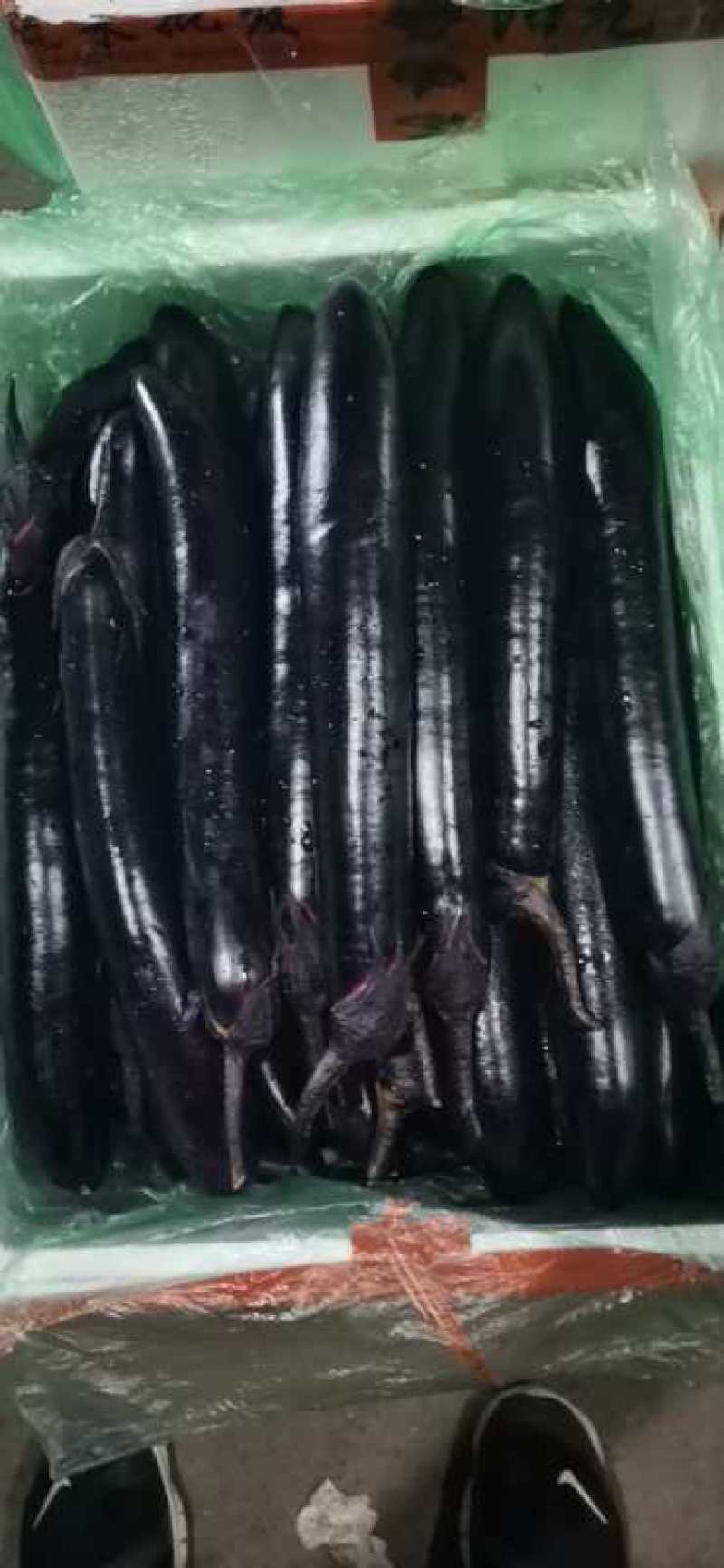 云南精品蔬菜拼车发货服务水果玉米四季豆叶子菜