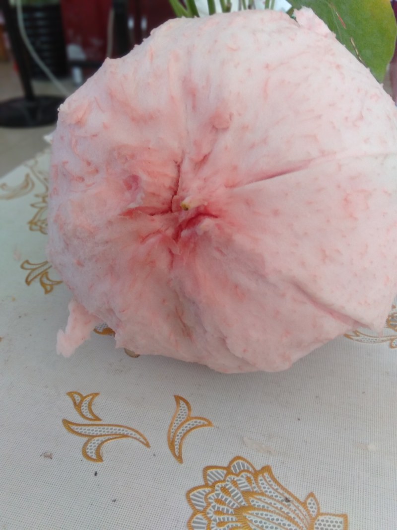 【有优惠】金秀三红蜜柚精品柚子口感香甜多汁欢迎采购